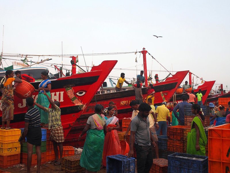 Unlock the Fortune of Cai Shen with Latest JDB Fishing Game in India - overview